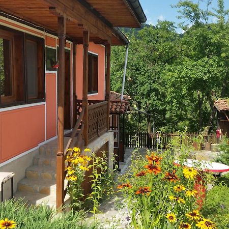 Mechta Guest House Koprivshtitsa Buitenkant foto