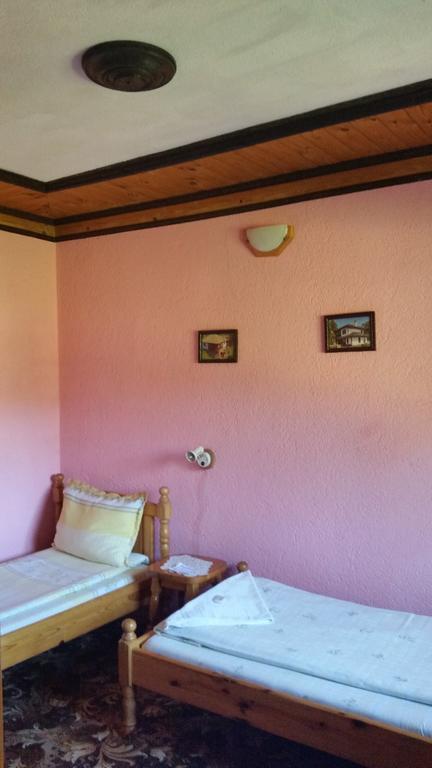 Mechta Guest House Koprivshtitsa Buitenkant foto