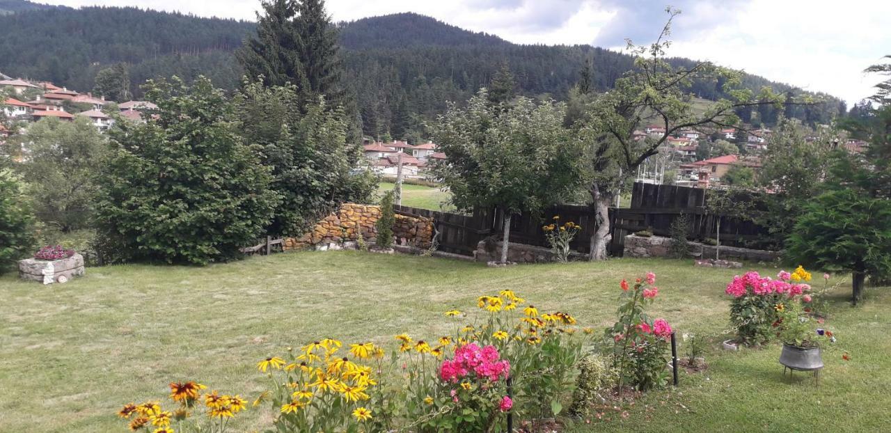 Mechta Guest House Koprivshtitsa Buitenkant foto